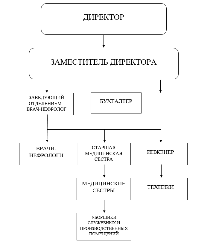 Структура организации